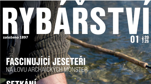 Snímek obrazovky 2026-01-06 085720.png